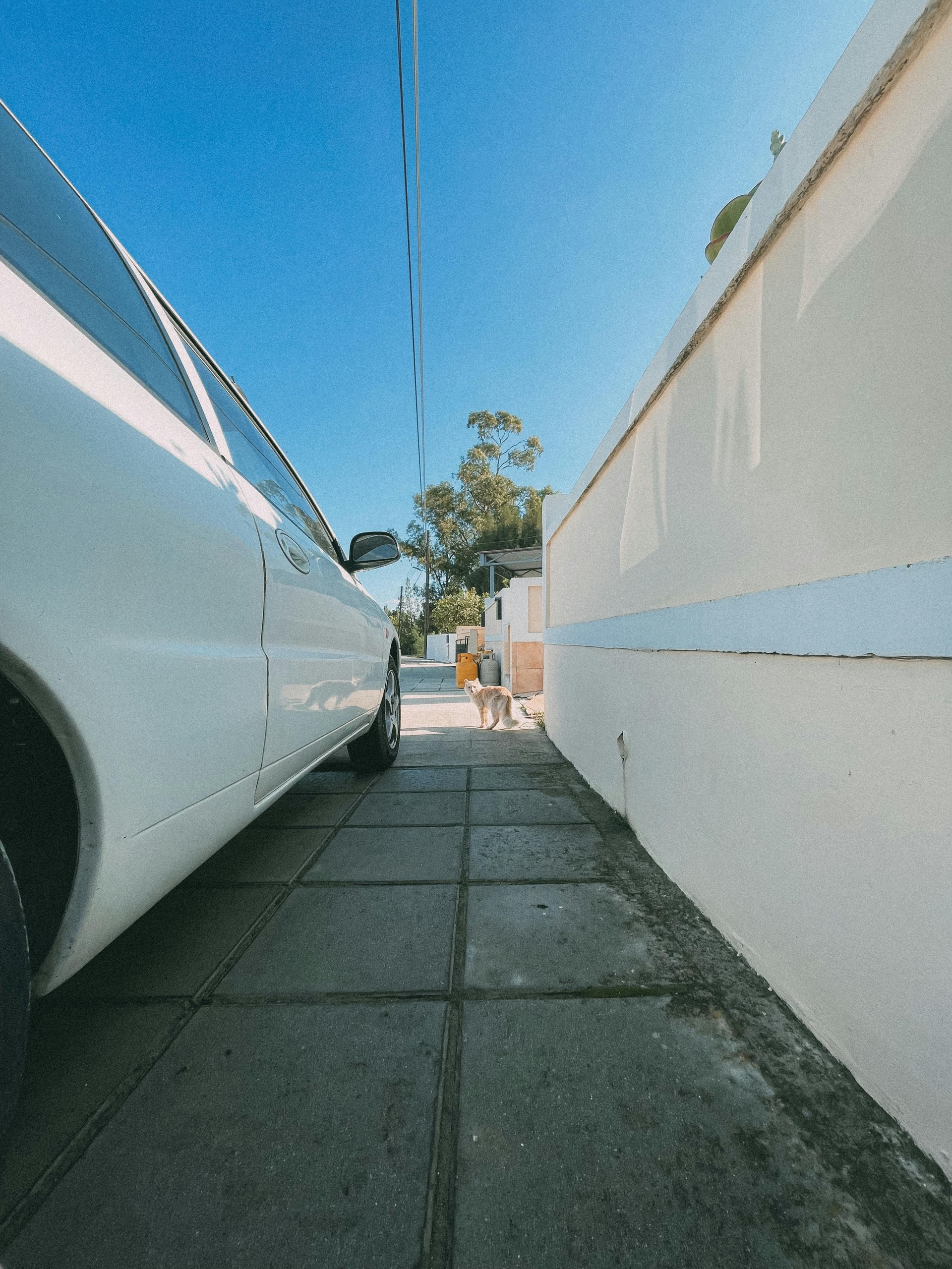 Limo in Miami for Luxury Transportation You Can Trust